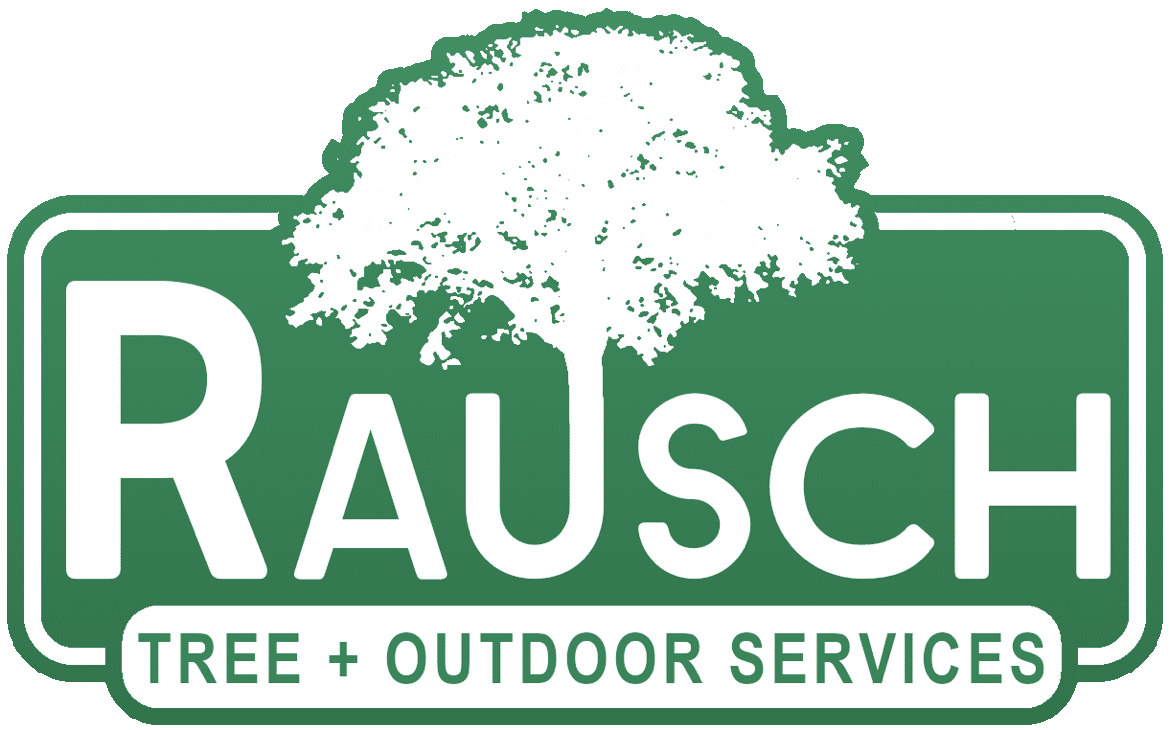The image displays a green and white logo for "RAUSCH TREE + OUTDOOR SERVICES" featuring a stylized tree above the company name against a dark background.