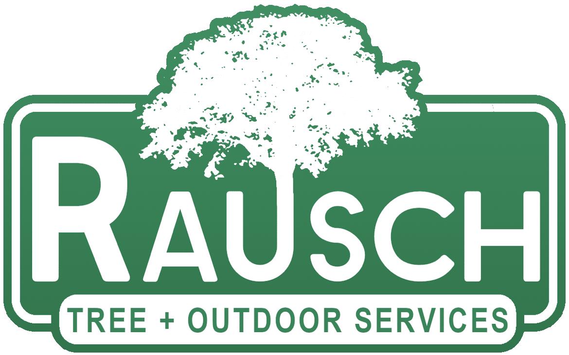 RauschTree logo - Wisconsin's expert tree service, offering professional tree trimming, tree removal, tree installation, and tree fertilization solutions.