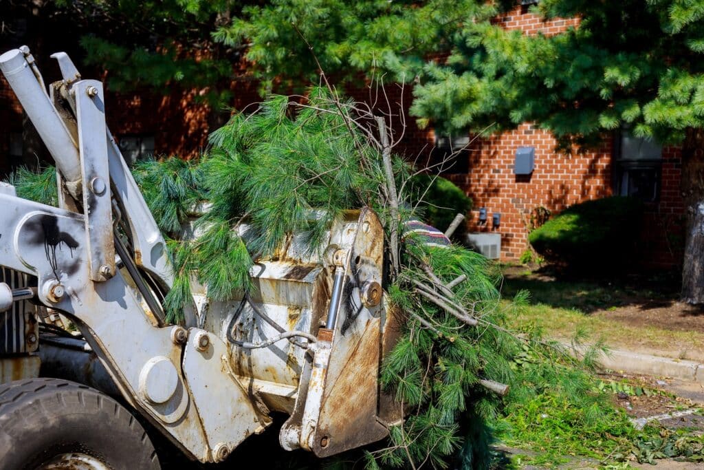 A skid steer loader with a grapple attachment is holding a large pile of branches. The machinery is parked in front of a brick building with greenery.