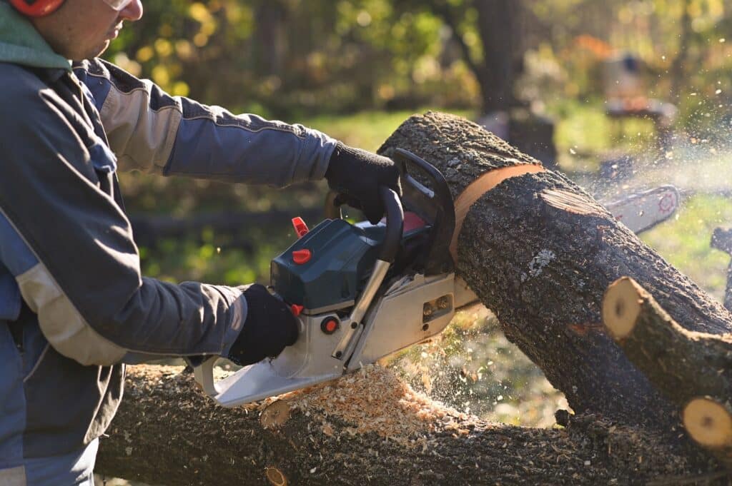 A person is sawing through a tree trunk with a chainsaw outdoors. Sawdust flies through the air, backlit by sunlight, highlighting the action to demonstrate tree care services.