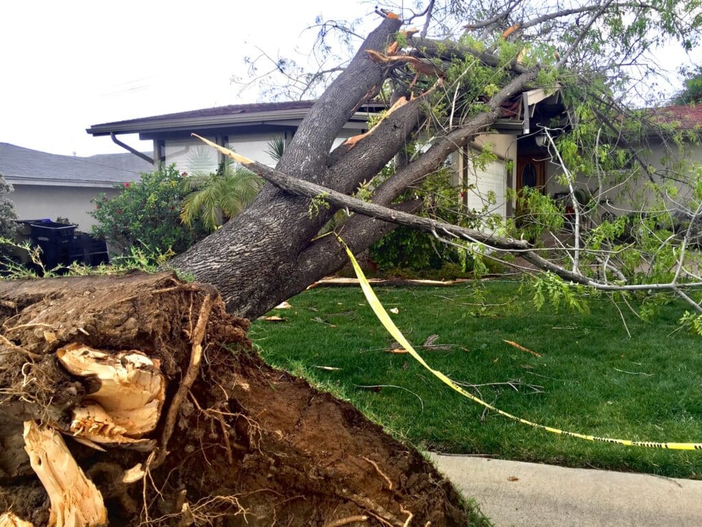 natural-disasters-effect-on-property-a-tree-falls