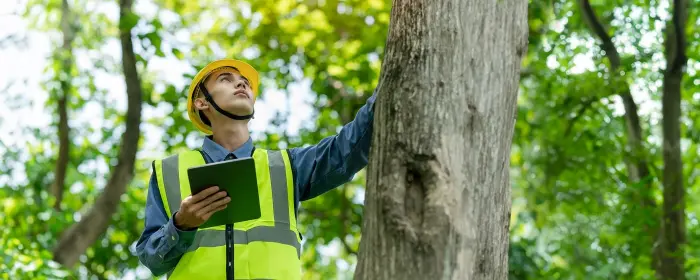 experts in tree removal and other tree services in muskego area