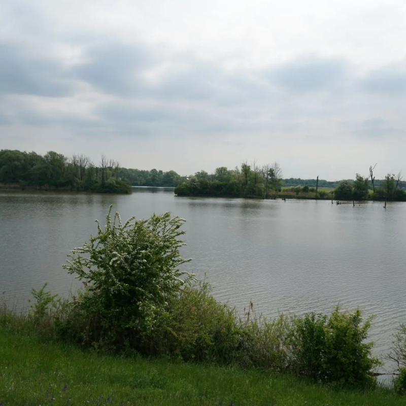 Paddock Lake in Wisconsin