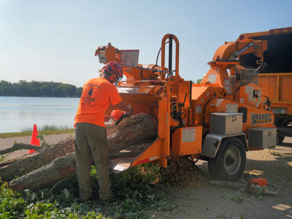 tree services dividing trunks in a mini loader