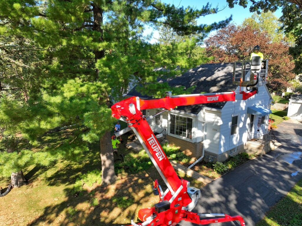 tree services with bucket truck