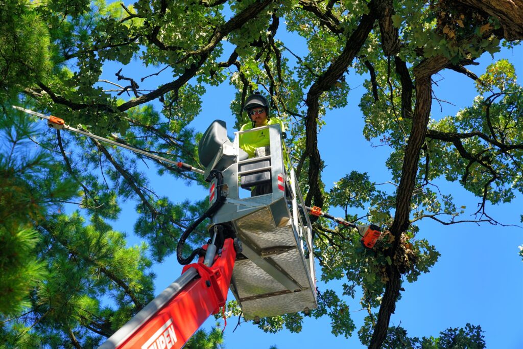 tree services worker lifted by bucket truck