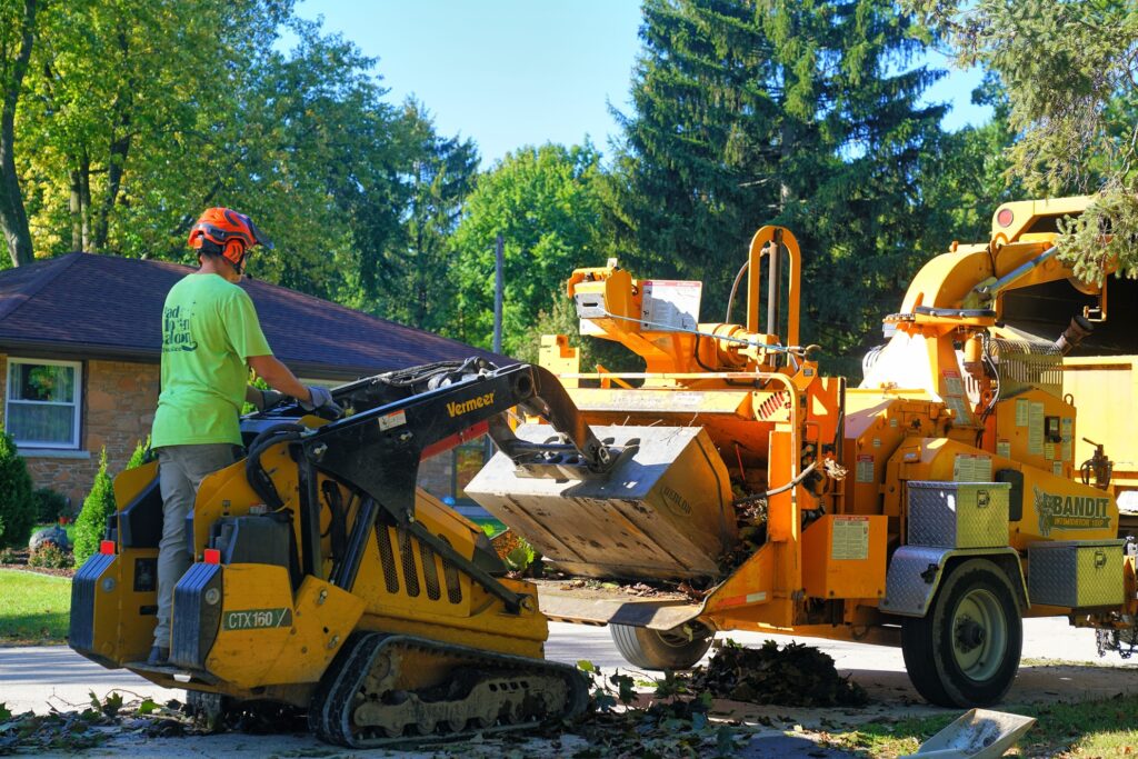 tree services cleaning using mini loader