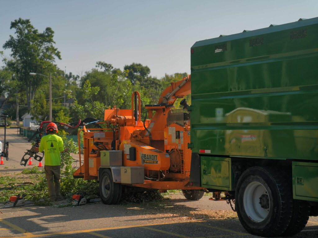 tree services disposing excess tree parts