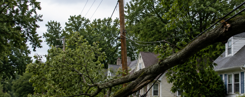 Heavy tree limb pulling down a power line in a Racine County residential neighborhood