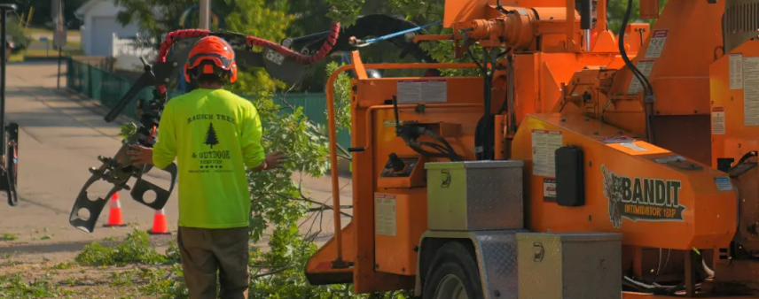 Crew clearing storm debris and logs from a yard after an emergency tree removal in Wisconsin