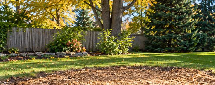Freshly ground tree stump area filled with wood chips ready for topsoil in a Wisconsin backyard